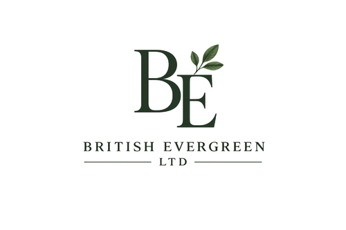 British Evergreen