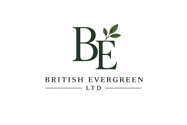 British Evergreen