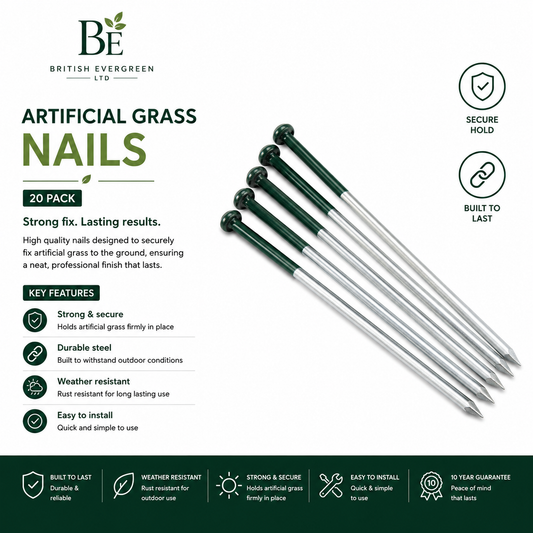 Nails (Bag of 20)